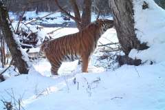 © ZSL/Linda Kerley