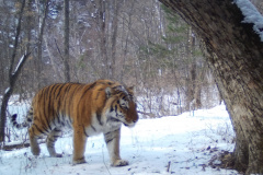 © ZSL/Linda Kerley