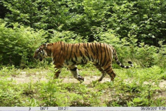 © WCS China
