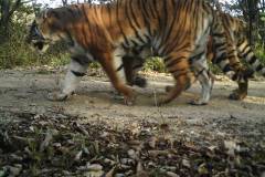 ©  WCS China