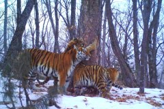 © Land of the Leopard National Park