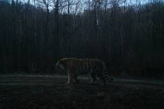 © WCS China