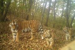 © WCS China