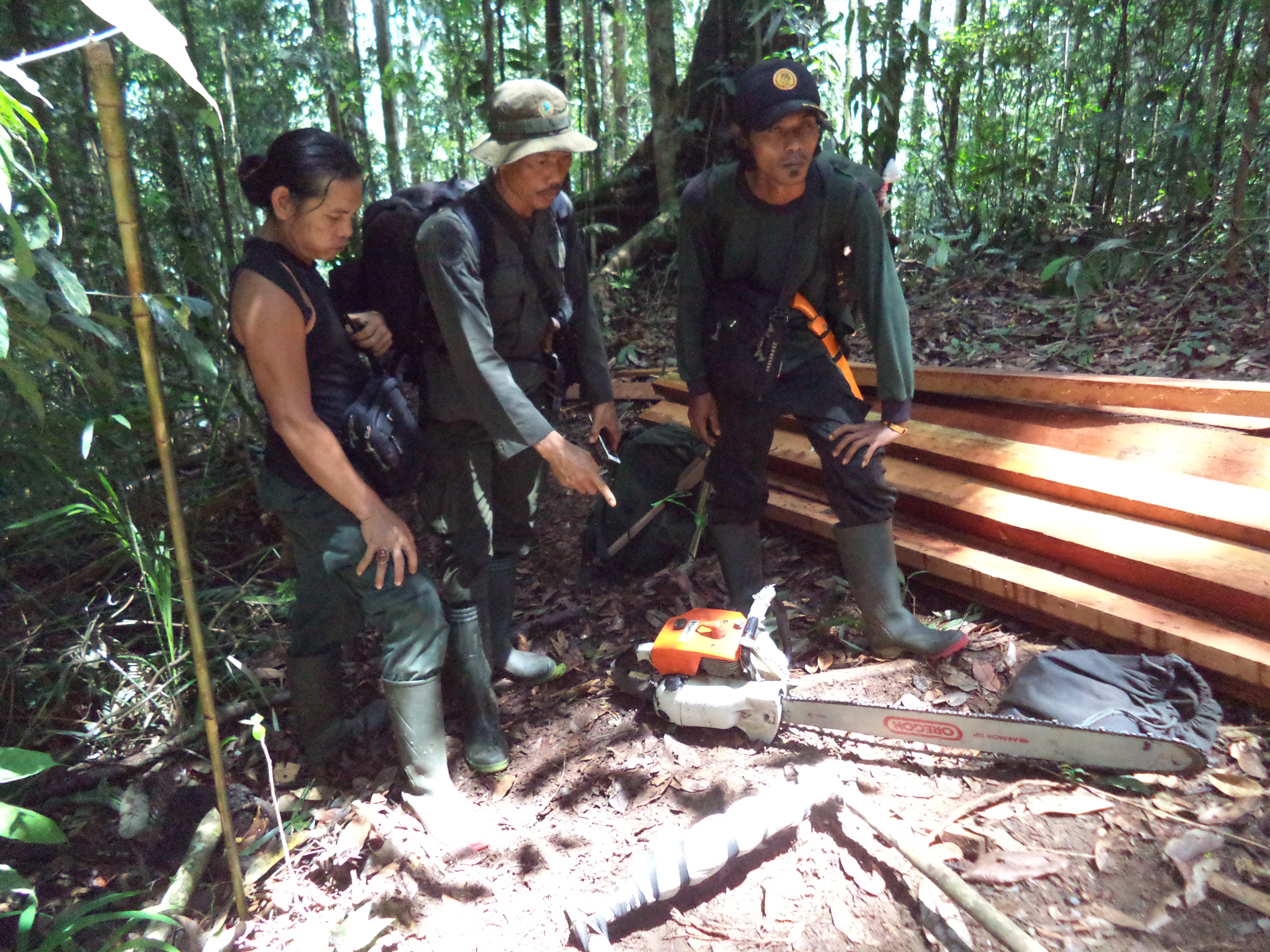 Illegal loggers arrested © FFI/TNKS 2018