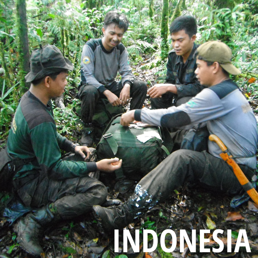 Indonesia Conservation Projects