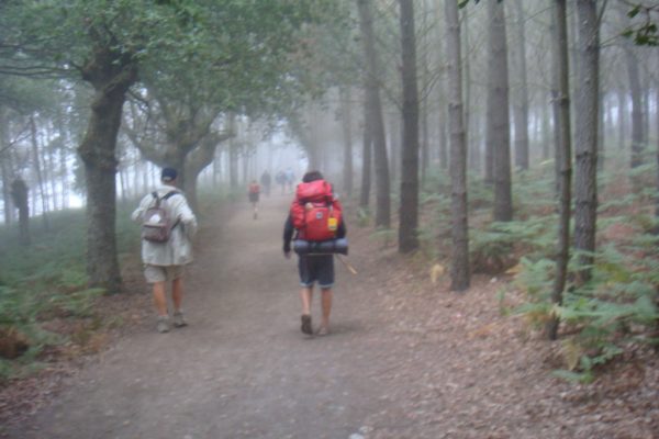 JAckRigall_Misty woods in the morning, close to Santiago de Compostela