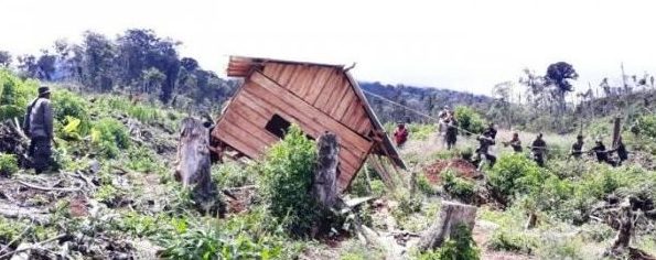 Illegal loggers targeted in Kerinci Seblat National Park