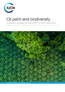 oil palm report
