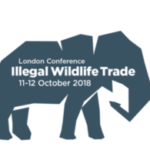 Tackling the Illegal Wildlife Trade