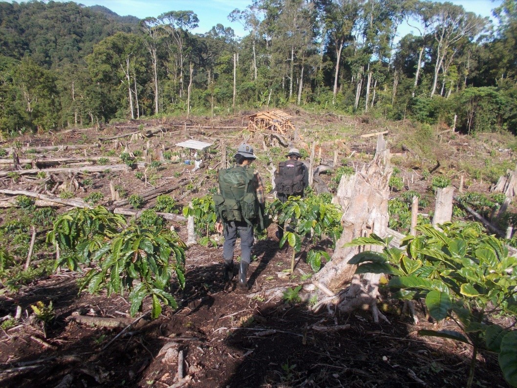 Lingkar Institute forest-edge communities - WildCats Conservation Alliance