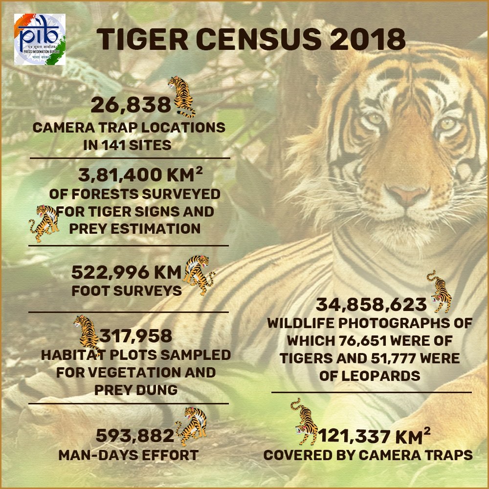 Latest figures from the All India Tiger Survey WildCats Conservation