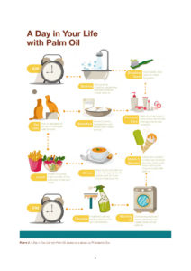 infographic showing palm oil uses