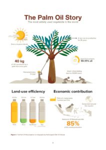infographic about palm oil
