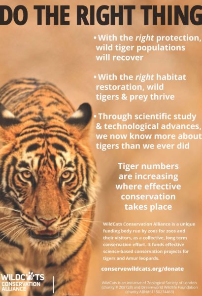 WildCats Posters & Leaflets | WildCats Conservation Alliance