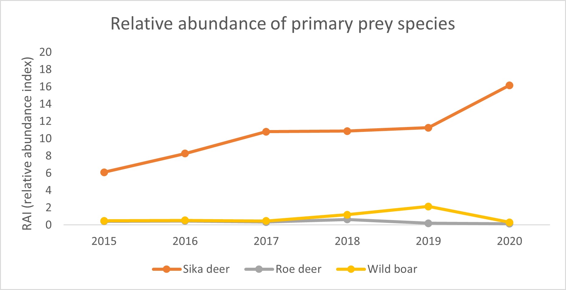 Monitoring Amur leopards: Dale Miquelle - WildCats Conservation Alliance