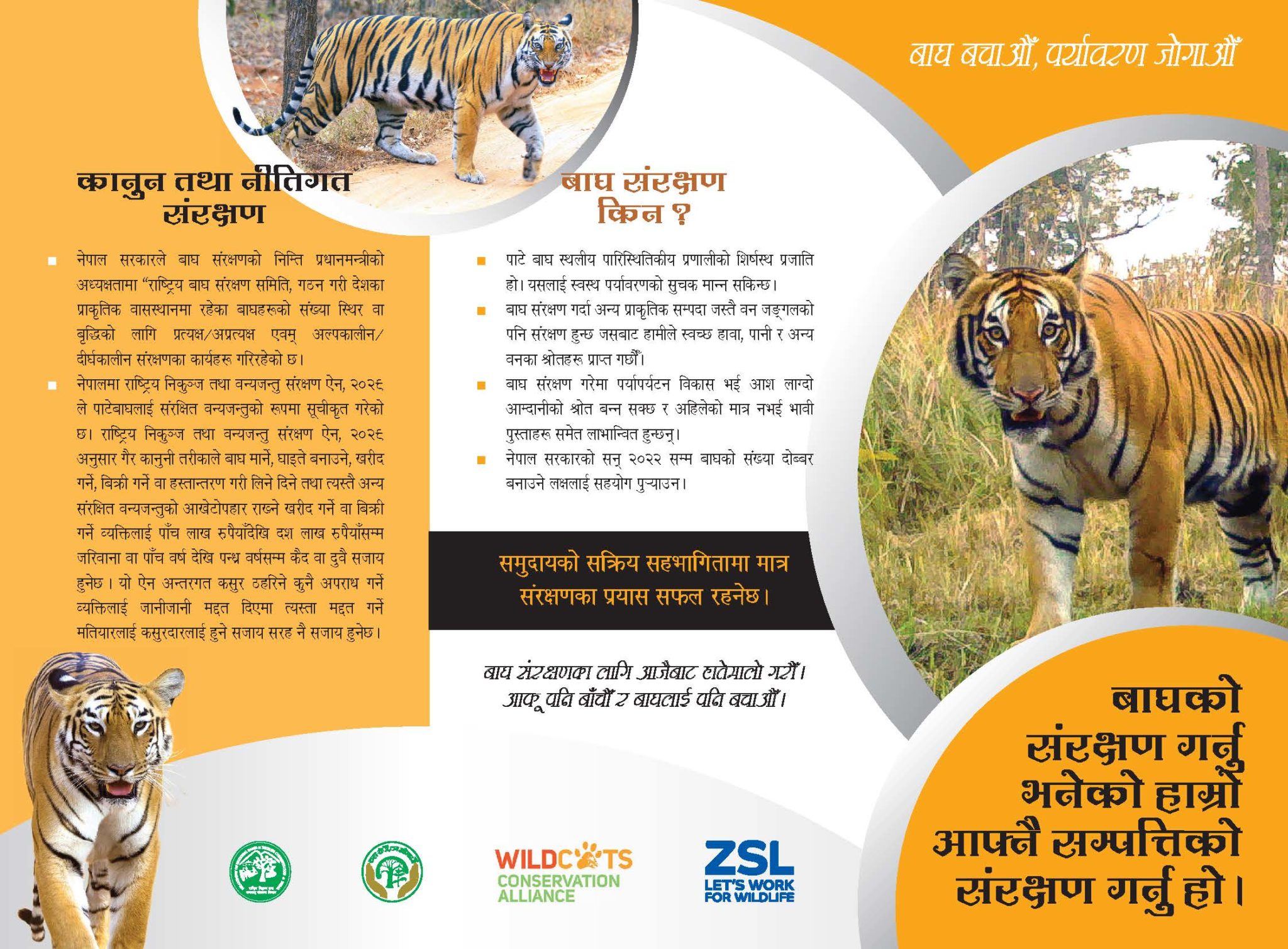 Tigers beyond protected areas - WildCats Conservation Alliance