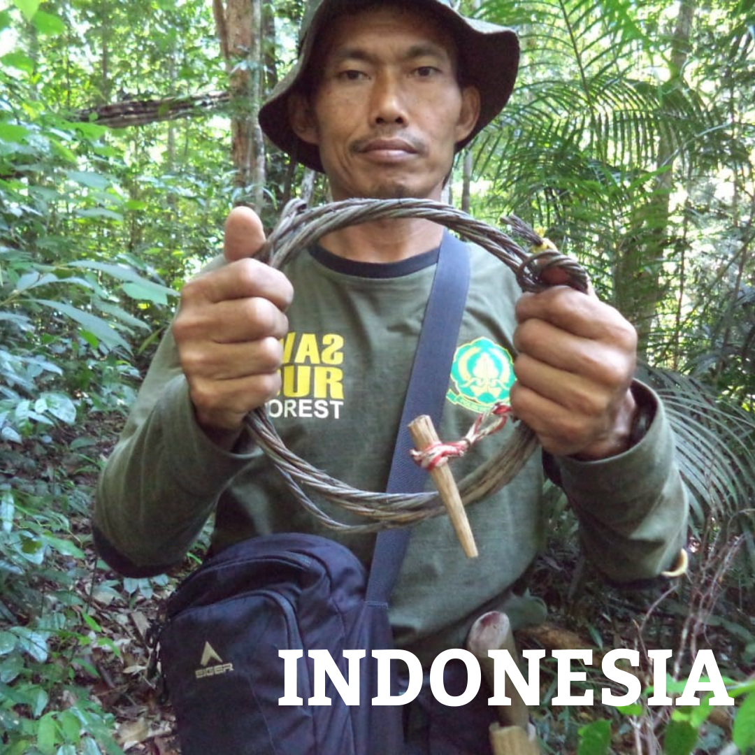 FFI Indonesia