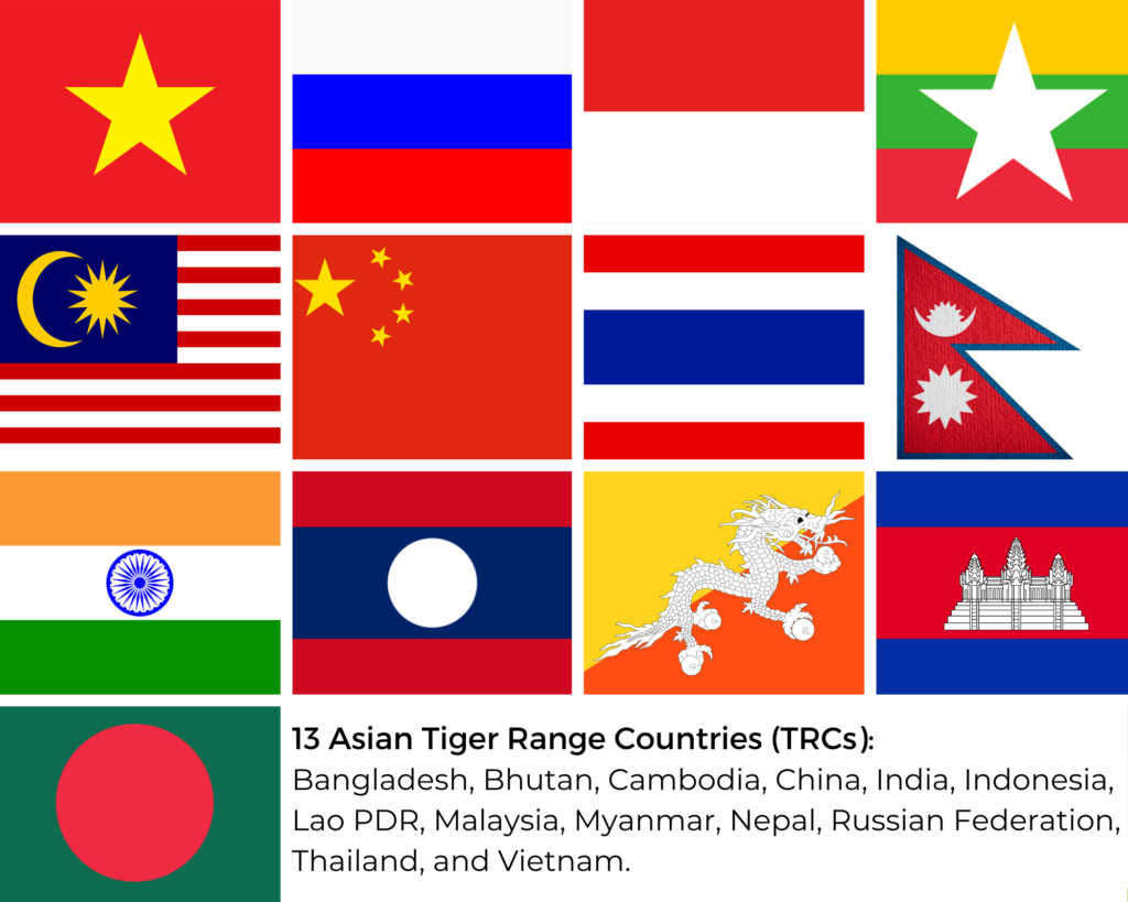 Year of the Tiger - Tiger range countries