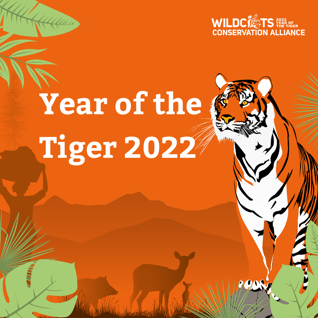 The 2022 tiger of year