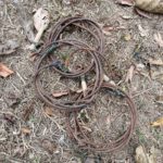Snares removed from Khao Laem National Park