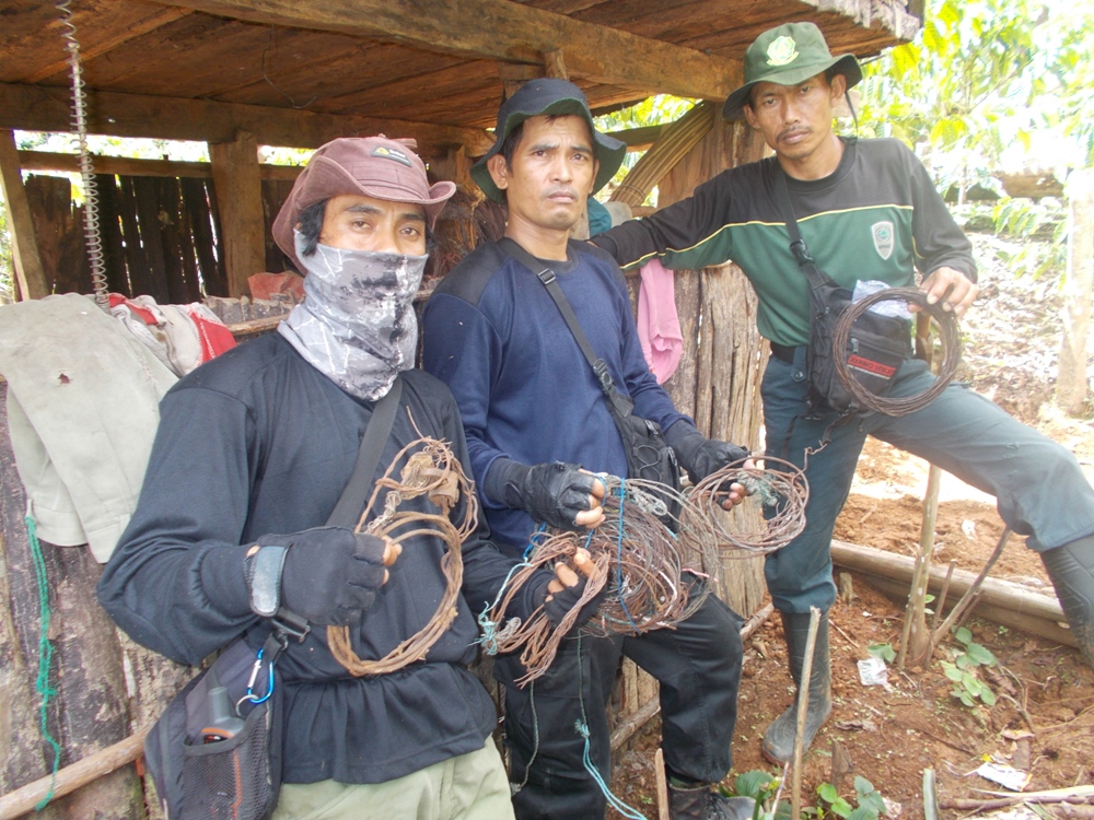 Rangers with deactivated snares in Indonesia in 2017 ©Lingkar