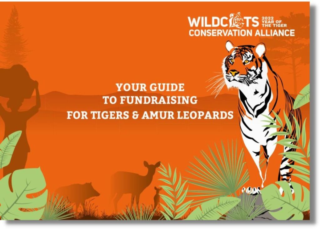 Fundraise For Tigers And Amur Leopards - WildCats Conservation Alliance