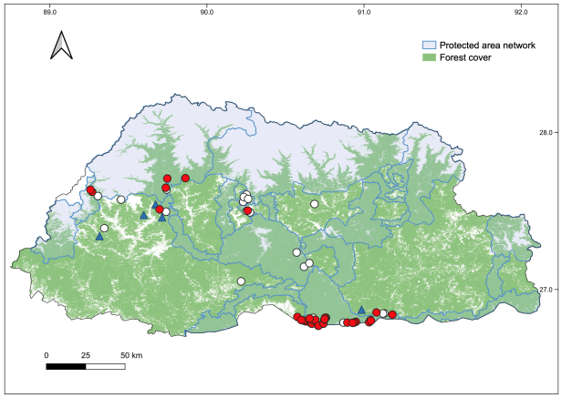 Sampling collection locations on forest cover map of Bhutan. Red circles are scat samples confirmed to be of a tiger, while white circles are samples that were not tiger positive. Blue triangles are tiger-positive tissue and skin samples.