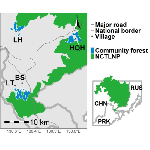 Map of Amur leopard and tiger recovery in China