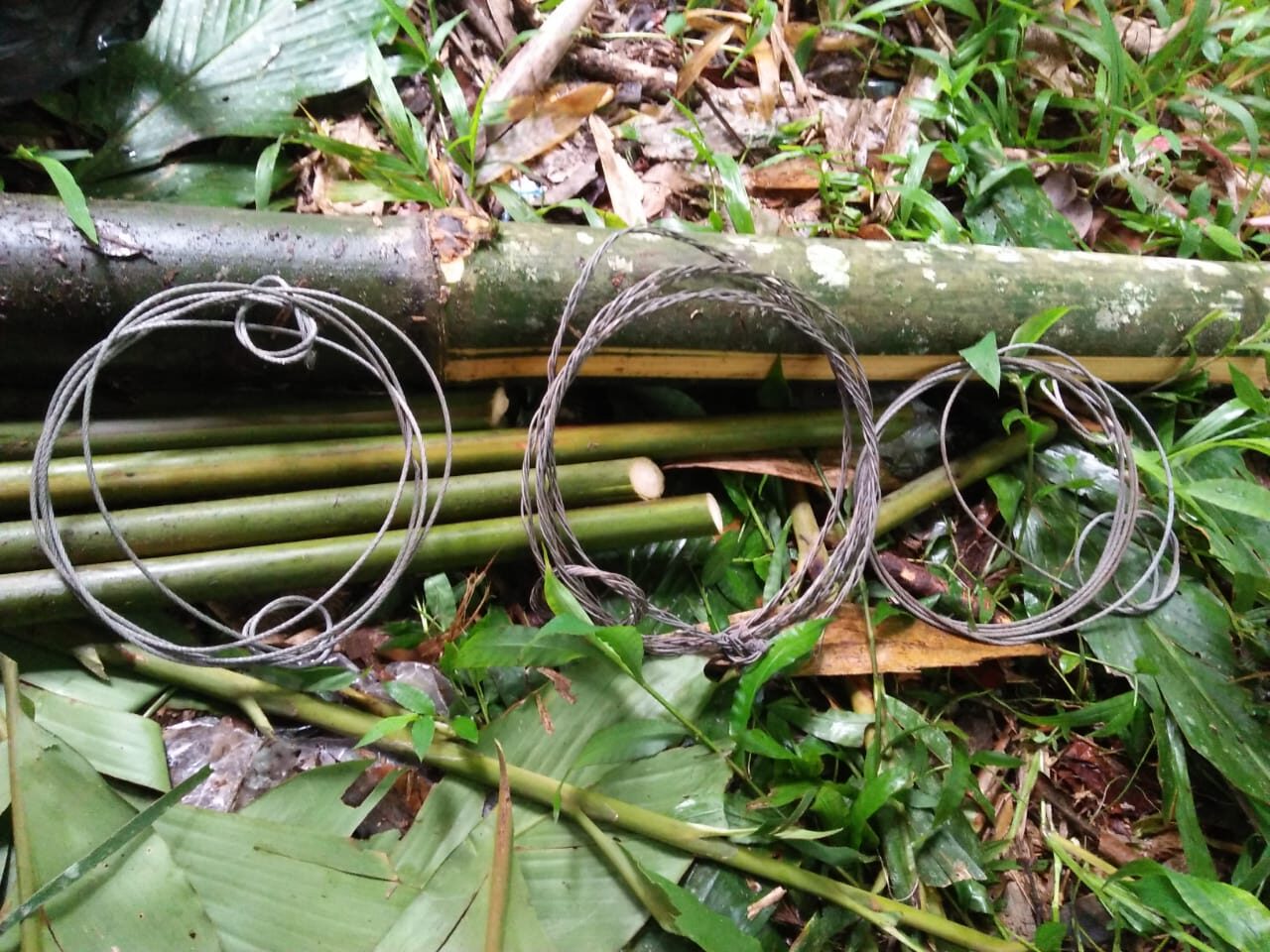 FFI KSNP wire cable snares recorded June 2022