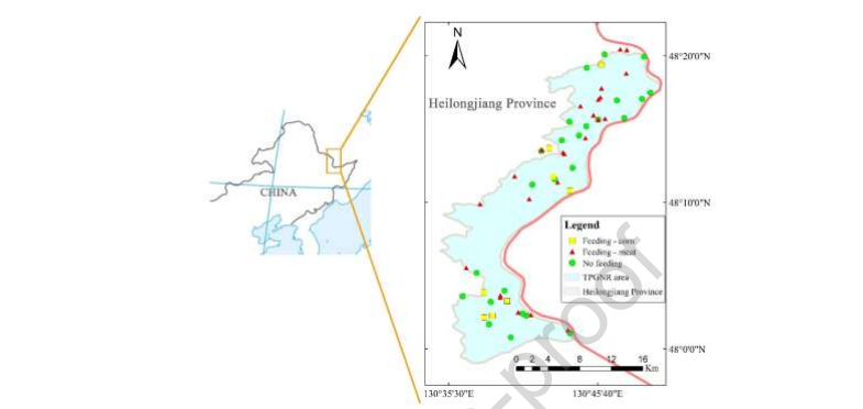 Does presence of top predator improve forest birds' survival and diversity? An ecological case study assessing umbrella conservational impact of tiger using carrion