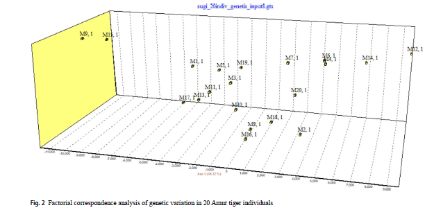 Graph from the paper