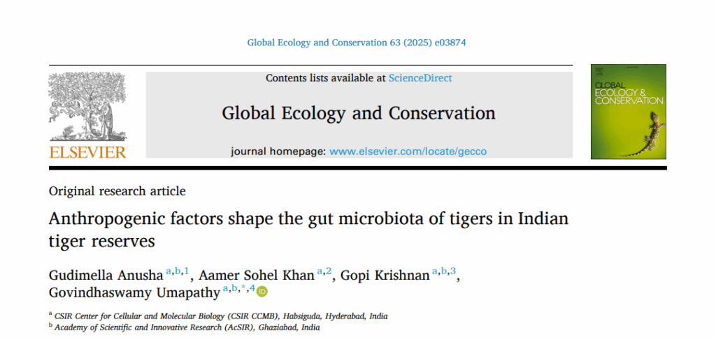 Screenshot from paper