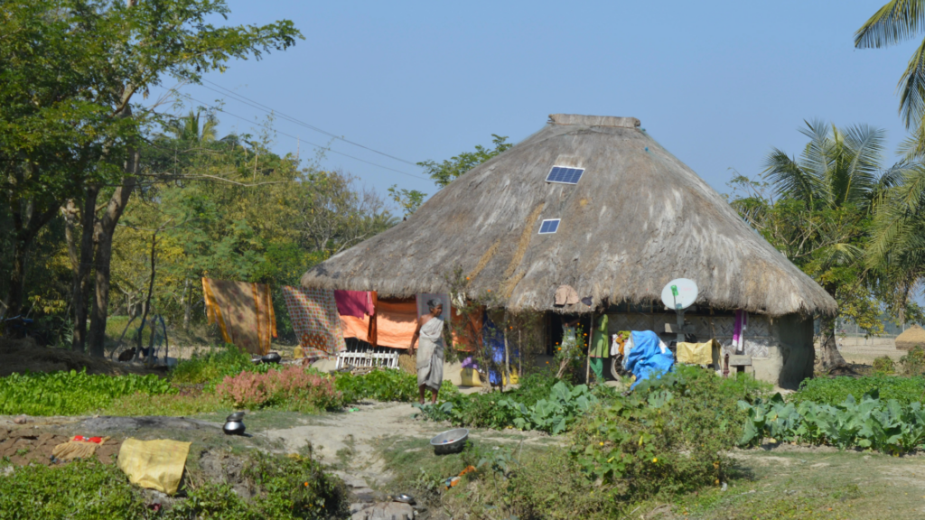 a-tiger-widow-in-the-sudarbans-standing-in-front-of-her-hut.x44763686