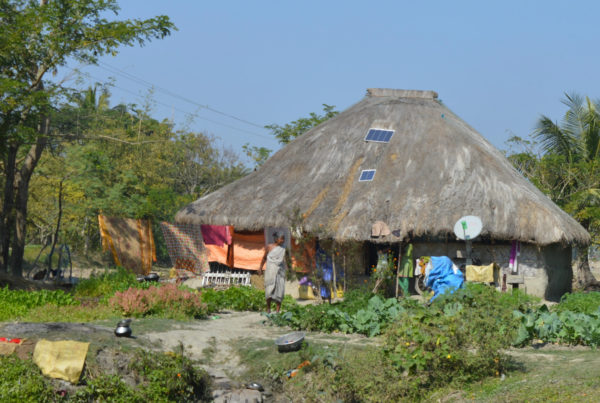 a-tiger-widow-in-the-sudarbans-standing-in-front-of-her-hut.x44763686