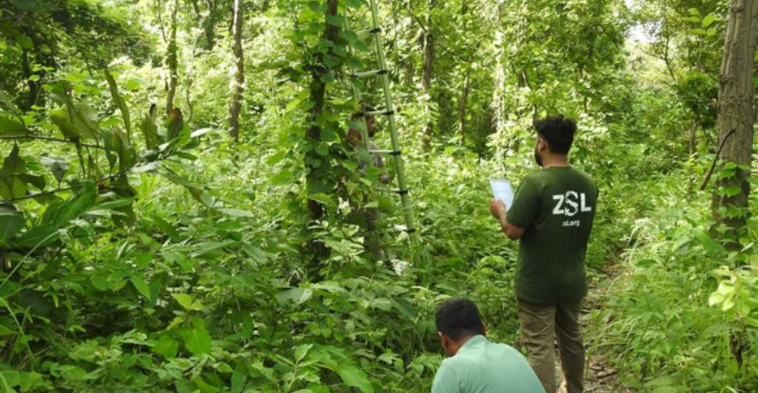 Field staff deploying a real-time camera - Image from ZSL Nepal