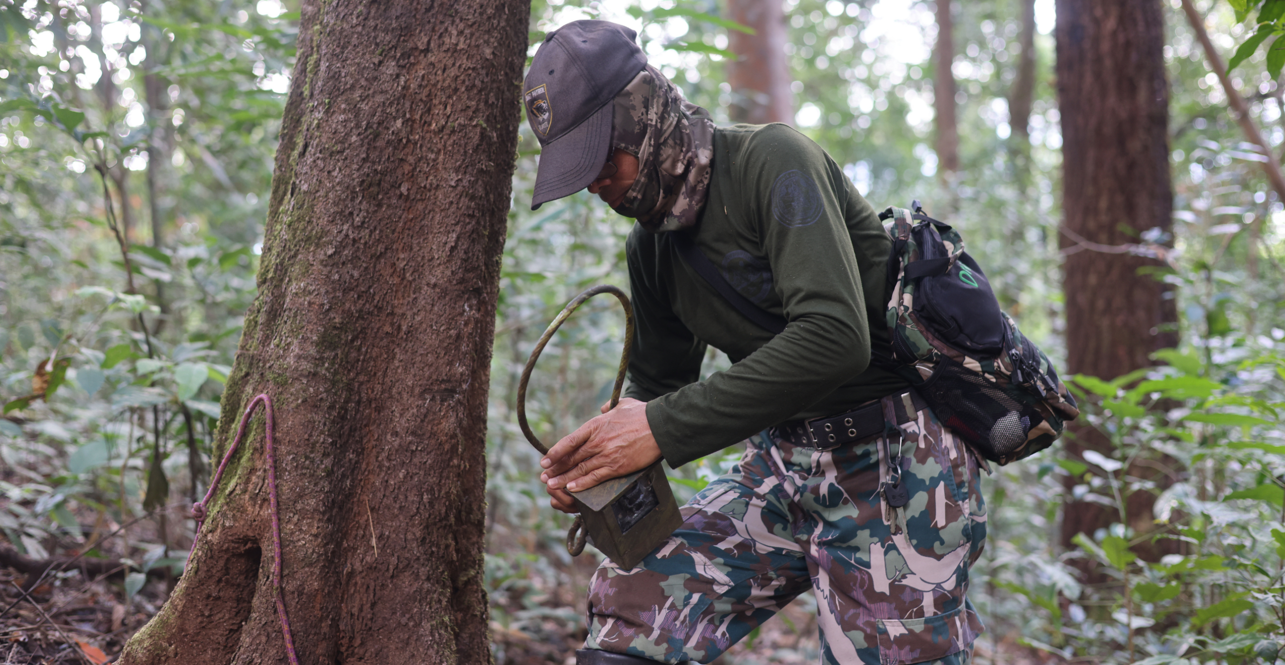 Camera trapping DNP & Freeland
