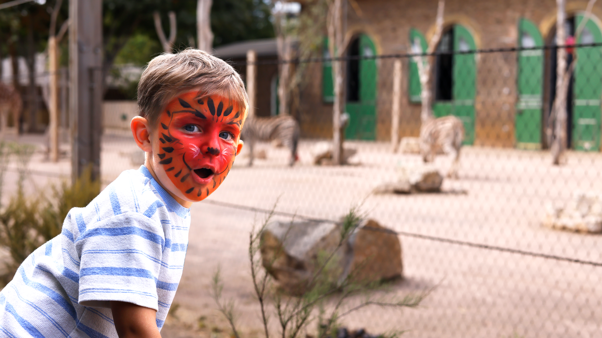 Finley at the zoo