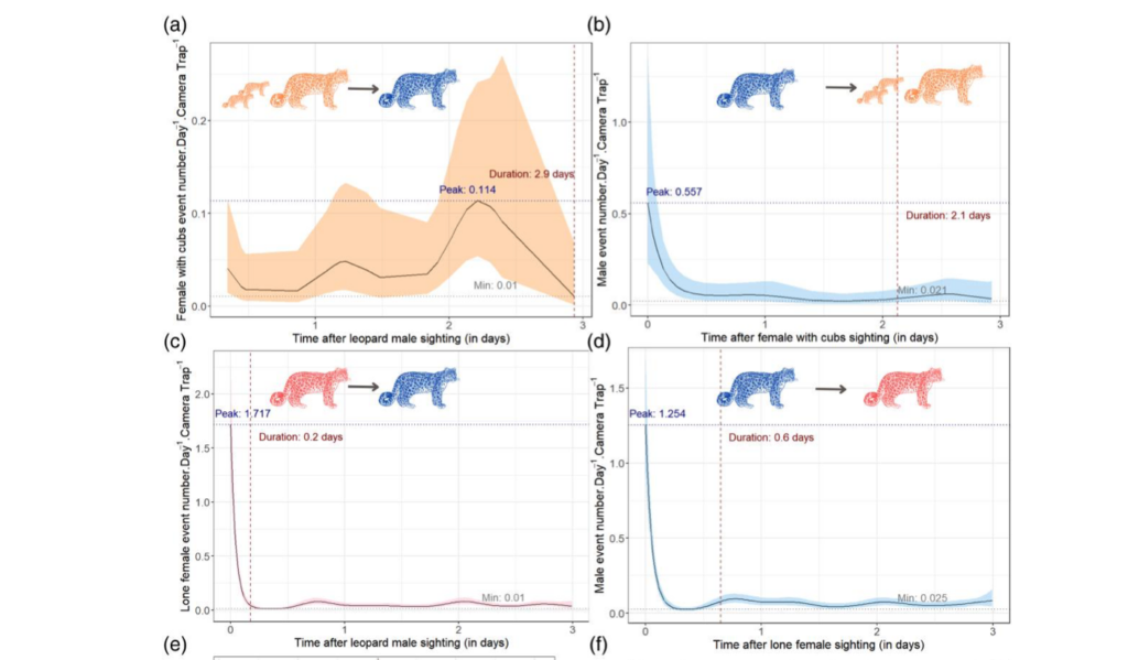 Graphs from paper