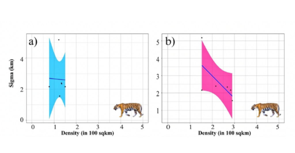 Graphs from the paper