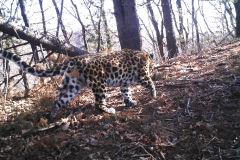 © WCS China