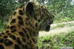 © WCS China