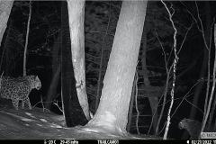 © WCS Russia