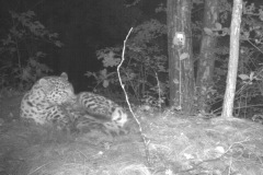 ©Land of the Leopard National Park