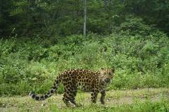 © WCS China