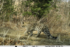 © WCS China